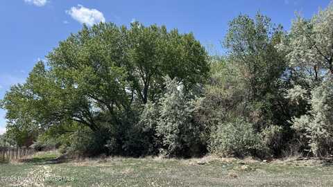 Xx PALOMINO, Bloomfield, NM 87413