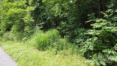830 Cove Creek Lane, Weaverville, NC 28787