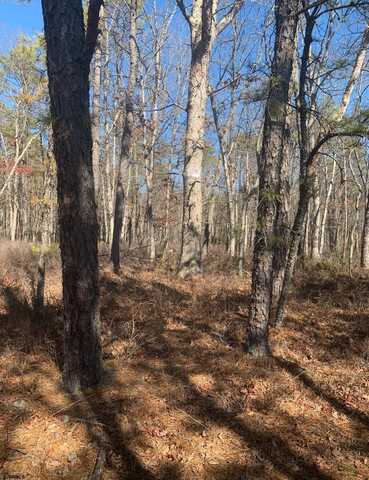 1 Belmont Ave Ave, Mays Landing, NJ 08330