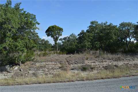 207 Flanders, Fischer, TX 78623