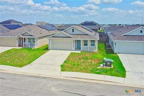 1919 Grey Catbird, New Braunfels, TX 78130