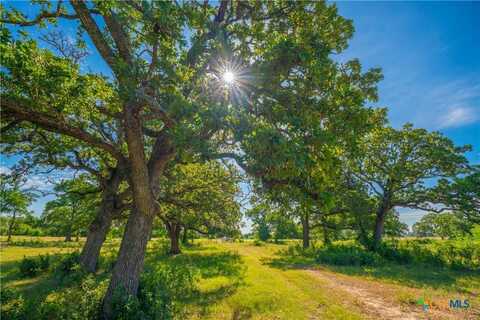 (tract 1) 1050 FM 2104, Smithville, TX 78957