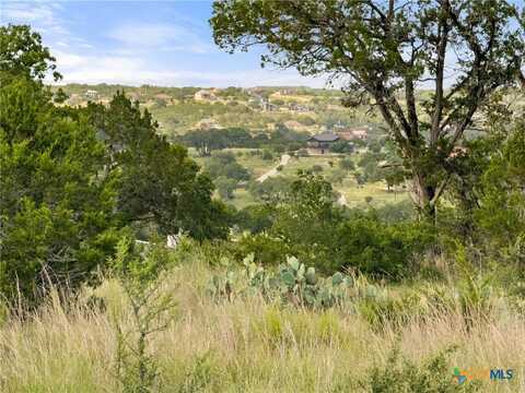 110 Enigma Avenue, Spring Branch, TX 78070