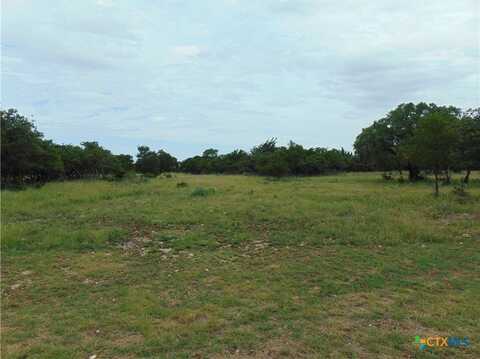 1661 Cottonwood Mesa Drive, Kempner, TX 76539