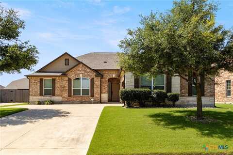 18401 Pencil Cactus Drive, Pflugerville, TX 78660