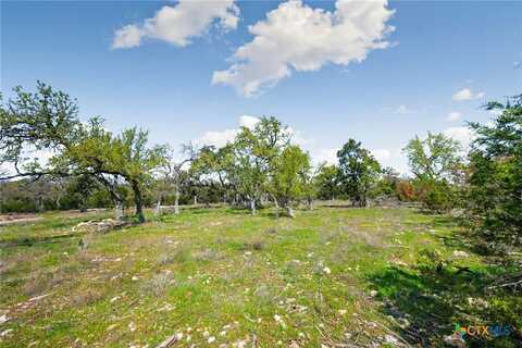 1275 Smoky Loop, New Braunfels, TX 78132