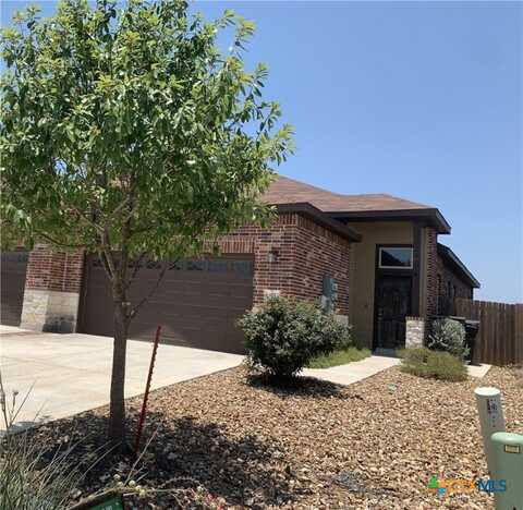 375 Creekside Curve, New Braunfels, TX 78130