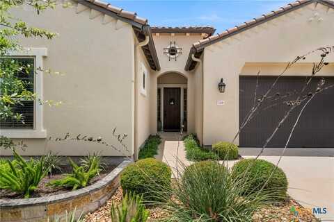 249 Hopping Peach Street, San Marcos, TX 78666