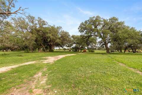 Tbd E Martindale Road, Seguin, TX 78155