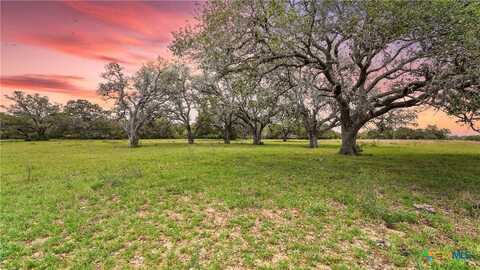 Tbd(ii) US Hwy 90a East, Hallettsville, TX 77964