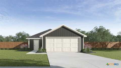 1009 SEEDLING Lane, Seguin, TX 78155