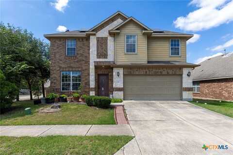 113 Blossom Valley Stream, Buda, TX 78610