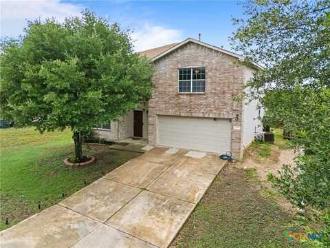 161 Prairie Verbena Drive, Kyle, TX 78640