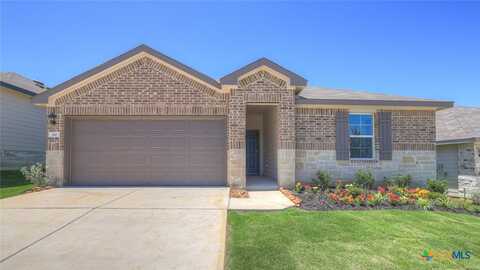 310 BLUETICK Trail, Seguin, TX 78155