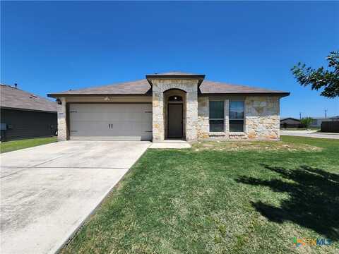 2599 Diamondback Trail, New Braunfels, TX 78130