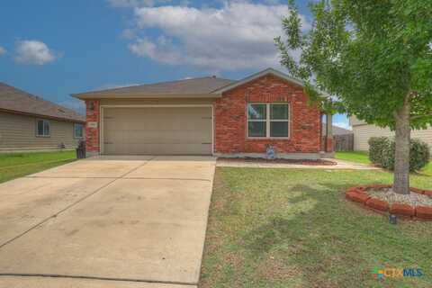 2588 Diamondback Trail, New Braunfels, TX 78130