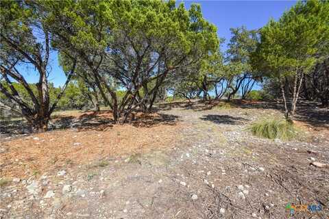 20008 Charlestown Cove, Lago Vista, TX 78645