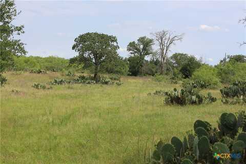 974 County Road 451, Waelder, TX 78959