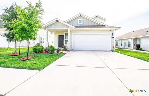 220 Blue Agate Court, Jarrell, TX 76537