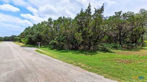 870 High Low Drive, New Braunfels, TX 78132