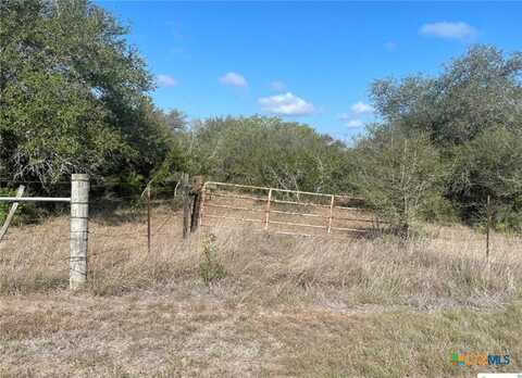 3626 Old Goliad Road, Goliad, TX 77963