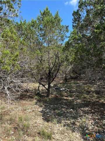 121 Agarita Drive, Spring Branch, TX 78070