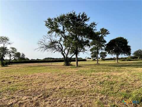 Tract 3 County Road 319, Edna, TX 77957