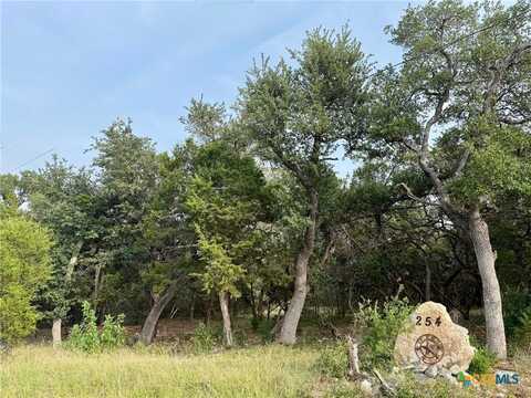 254 Flanders, Fischer, TX 78623