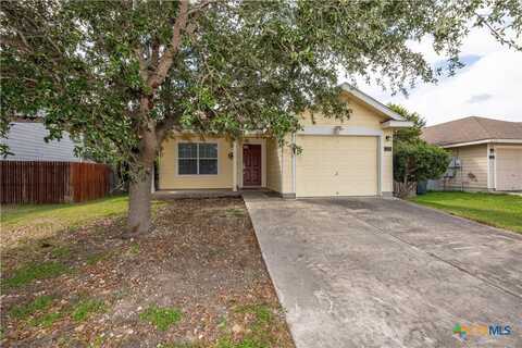 3259 Wren Brook Drive, New Braunfels, TX 78130