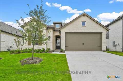 853 Saltbush Street Drive, New Braunfels, TX 78130