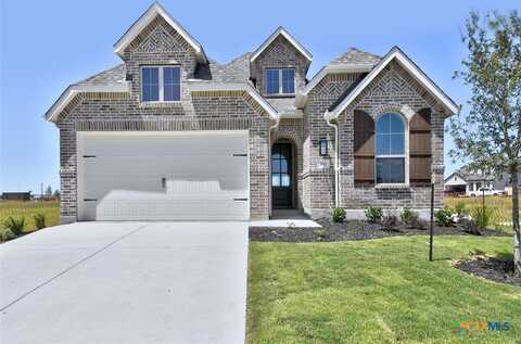 853 Saltbush Street Drive, New Braunfels, TX 78130