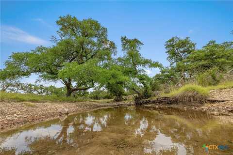 65 Miles Ln, Harper, TX 78631