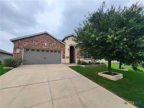 352 Lillianite, New Braunfels, TX 78130