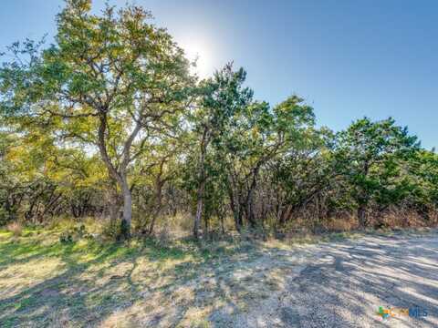 223 Lakeview Circle, Spring Branch, TX 78070