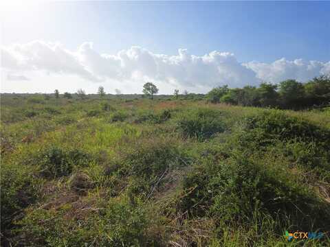 8551 FM 530, Edna, TX 77957