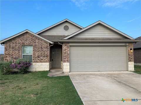 212 Dusky Thrush Drive, Kyle, TX 78640