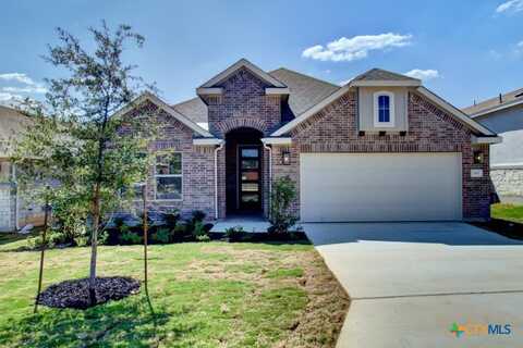 1816 Heritage Maples, New Braunfels, TX 78132