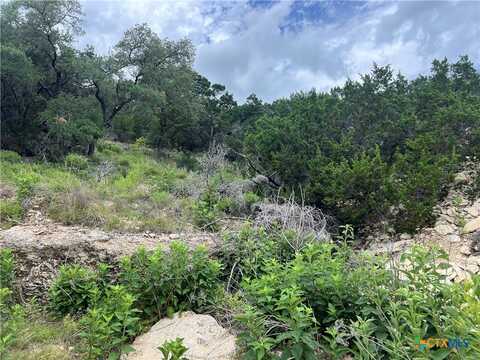 1609 Trail Pass Drive, Canyon Lake, TX 78133