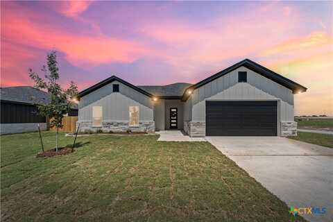206 Creek Plum Lane, Temple, TX 76502