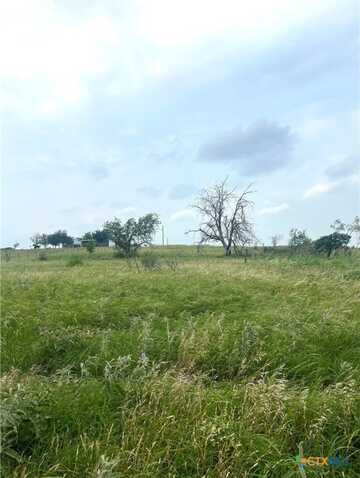 272 County Road 451, Coupland, TX 78615