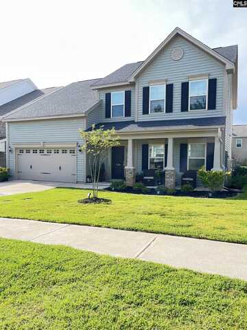 1324 Tamarind Lane, Chapin, SC 29036
