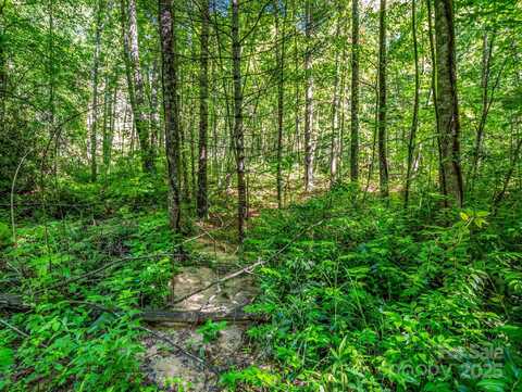 Tbd Climbing Road, Hendersonville, NC 28792