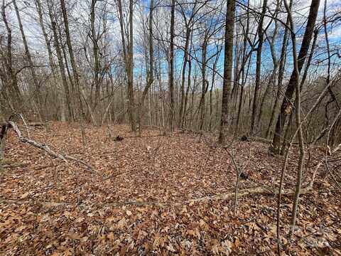290 Shoal Creek Road, Zirconia, NC 28739
