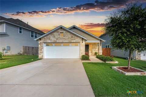133 Free Stone Drive, Georgetown, TX 78628