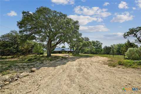120 Buena Vista, Blanco, TX 78606