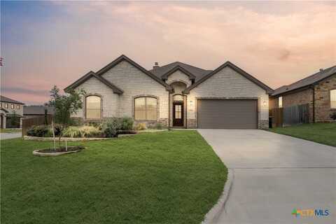 3405 Waggoner Drive, Belton, TX 76513