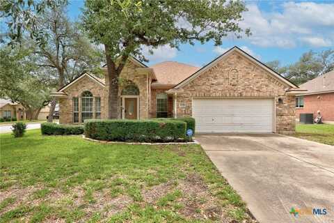 1500 Amelia Drive, Cedar Park, TX 78613