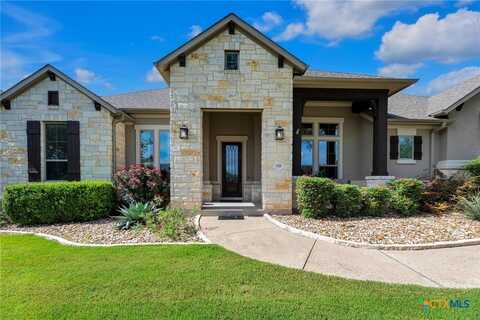 121 Umbrella Sky, Liberty Hill, TX 78642