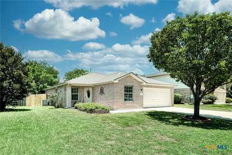 707 Camino Alto Drive, Leander, TX 78641