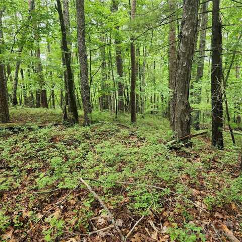 0 Buttonwood Road, Connelly Springs, NC 28612
